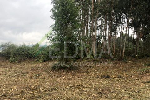 Terra a Aves, Porto, Aves - € 280.000 | Ref: MC2106C14T1 - foto 2