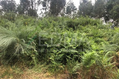 Terra a Aves, Porto, Aves - € 280.000 | Ref: MC2106C14T1 - foto 4