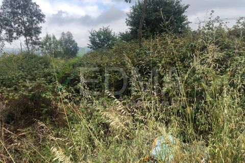 Terra a Aves, Porto, Aves - € 280.000 | Ref: MC2106C14T1 - foto 6
