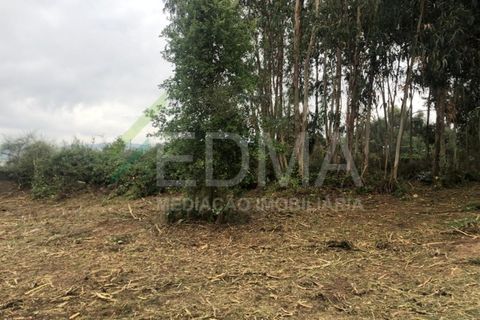 Terra a Aves, Porto, Aves - € 280.000 | Ref: MC2106C14T1 - foto 8