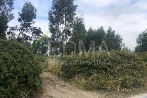 Terra a Aves, Porto, Aves - € 280.000 | Ref: MC2106C14T1 - foto 9