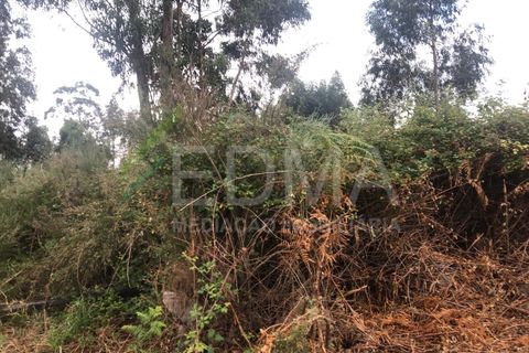 Terra a Aves, Porto, Aves - € 280.000 | Ref: MC2106C14T1 - foto 12