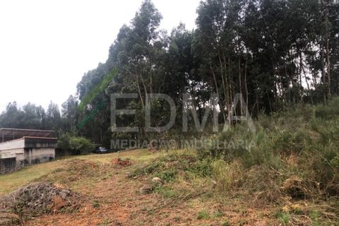 Terra a Aves, Porto, Aves - € 280.000 | Ref: MC2106C14T1 - foto 16