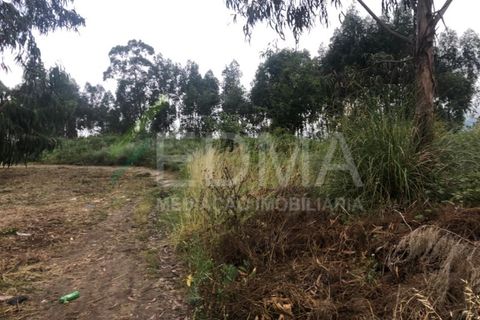 Terra a Aves, Porto, Aves - € 280.000 | Ref: MC2106C14T1 - foto 17