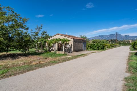 Casa rural em Tortosa, Tarragona, Tortosa - € 61.000 | Ref: 553 - foto 10