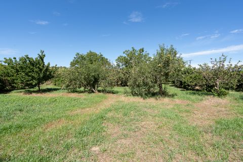 Casa rural em Tortosa, Tarragona, Tortosa - € 61.000 | Ref: 553 - foto 14