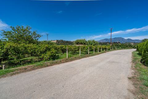 Casa rural em Tortosa, Tarragona, Tortosa - € 61.000 | Ref: 553 - foto 15