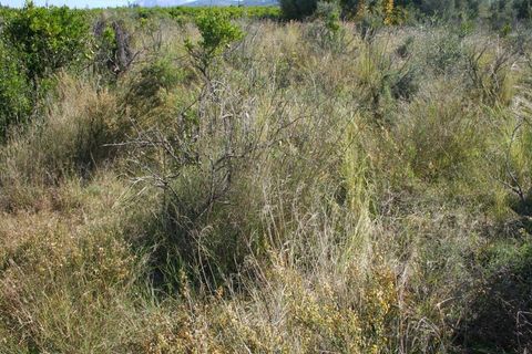 Helårsgrund i Orba, Alicante, Orba - € 160.000 | Ref: RF 6165 - foto 9