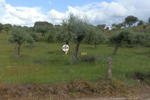 Helårsgrund i Castelo Branco, Castelo Branco, Castelo Branco - € 9.000 | Ref: 2314 - foto 3