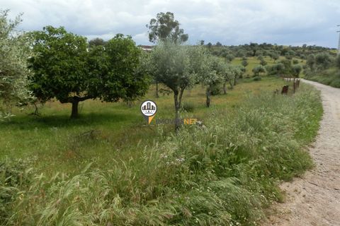 Helårsgrund i Castelo Branco, Castelo Branco, Castelo Branco - € 9.000 | Ref: 2314 - foto 4