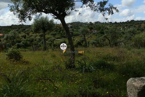 Helårsgrund i Castelo Branco, Castelo Branco, Castelo Branco - € 9.000 | Ref: 2314 - foto 8