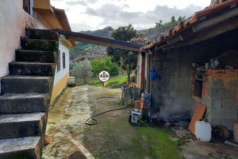Villa a Proenca-a-Nova, Castelo Branco, Proenca-a-Nova - € 159.000 | Ref: 2318 - foto 19