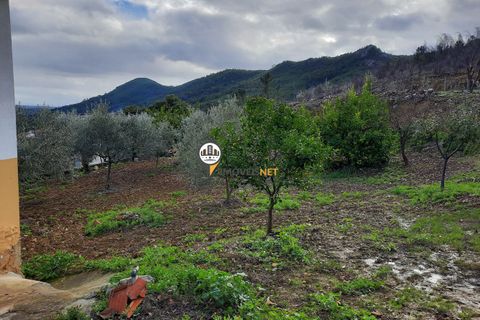 Villa a Proenca-a-Nova, Castelo Branco, Proenca-a-Nova - € 159.000 | Ref: 2318 - foto 23