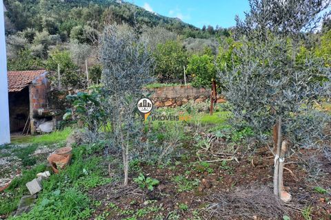 Villa a Proenca-a-Nova, Castelo Branco, Proenca-a-Nova - € 159.000 | Ref: 2318 - foto 25