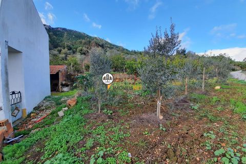 Villa a Proenca-a-Nova, Castelo Branco, Proenca-a-Nova - € 159.000 | Ref: 2318 - foto 26
