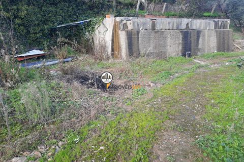 Villa a Proenca-a-Nova, Castelo Branco, Proenca-a-Nova - € 159.000 | Ref: 2318 - foto 28