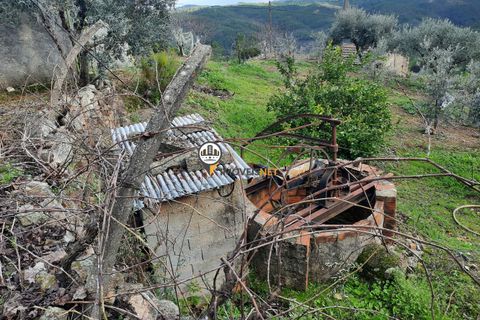 Villa a Proenca-a-Nova, Castelo Branco, Proenca-a-Nova - € 159.000 | Ref: 2318 - foto 31