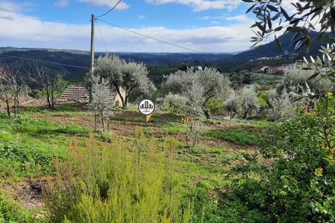 Villa a Proenca-a-Nova, Castelo Branco, Proenca-a-Nova - € 159.000 | Ref: 2318 - foto 32