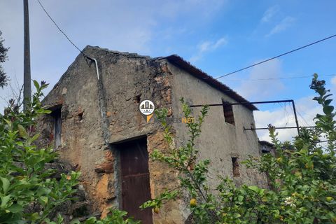 Villa a Proenca-a-Nova, Castelo Branco, Proenca-a-Nova - € 159.000 | Ref: 2318 - foto 37