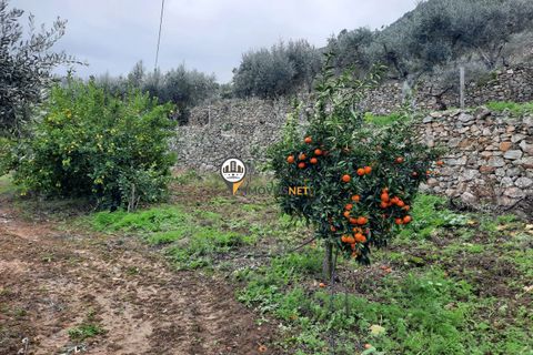 Villa a Proenca-a-Nova, Castelo Branco, Proenca-a-Nova - € 159.000 | Ref: 2318 - foto 38