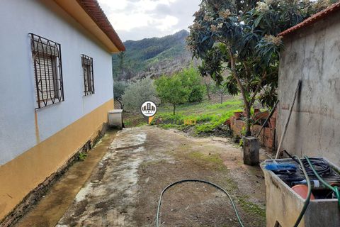 Terra em Proenca-a-Nova, Castelo Branco, Proenca-a-Nova - € 165.000 | Ref: 2319 - foto 1