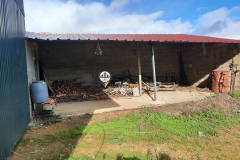 Terra em Proenca-a-Nova, Castelo Branco, Proenca-a-Nova - € 165.000 | Ref: 2319 - foto 7
