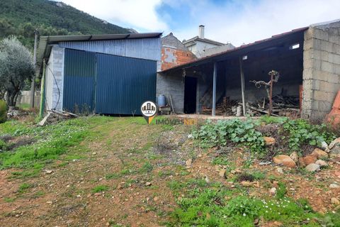 Terra em Proenca-a-Nova, Castelo Branco, Proenca-a-Nova - € 165.000 | Ref: 2319 - foto 8