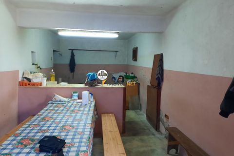 Terra em Proenca-a-Nova, Castelo Branco, Proenca-a-Nova - € 165.000 | Ref: 2319 - foto 10