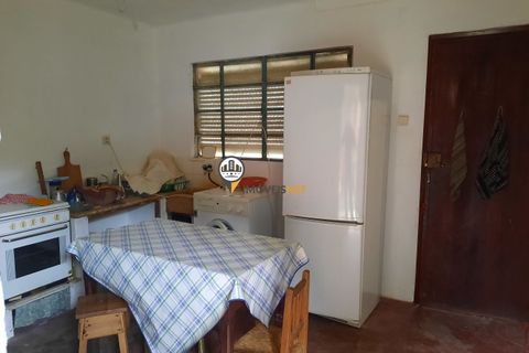 Terra em Proenca-a-Nova, Castelo Branco, Proenca-a-Nova - € 165.000 | Ref: 2319 - foto 12