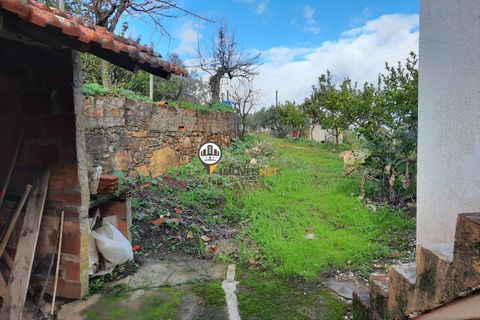 Terra em Proenca-a-Nova, Castelo Branco, Proenca-a-Nova - € 165.000 | Ref: 2319 - foto 20