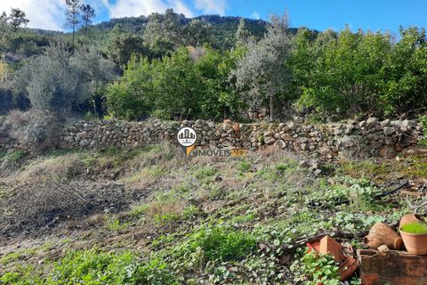 Terra em Proenca-a-Nova, Castelo Branco, Proenca-a-Nova - € 165.000 | Ref: 2319 - foto 25