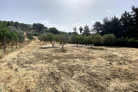 Helårsgrund i Caltanissetta, Caltanissetta, Caltanissetta - € 45.000 | Ref: TA42 - foto 3