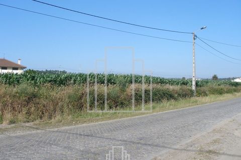 Helårsgrund i Ovar, Aveiro, Ovar - € 510.000 | Ref: 19/2015 - foto 2