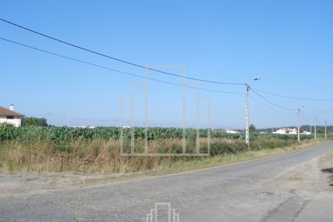 Helårsgrund i Ovar, Aveiro, Ovar - € 510.000 | Ref: 19/2015 - foto 3