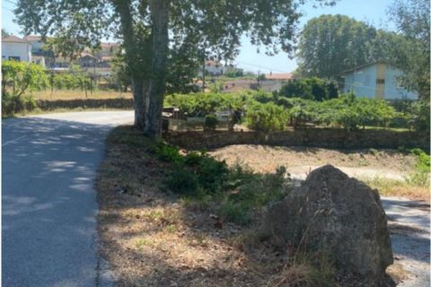 Helårsgrund i Amarante, Porto, Amarante - € 35.000 | Ref: 842 - foto 10