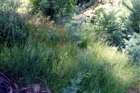 Helårsgrund i Amarante, Porto, Amarante - € 35.000 | Ref: 843 - foto 4