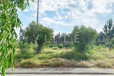 Helårsgrund i Aveiro, Aveiro, Aveiro - € 55.000 | Ref: AV1350 - foto 7