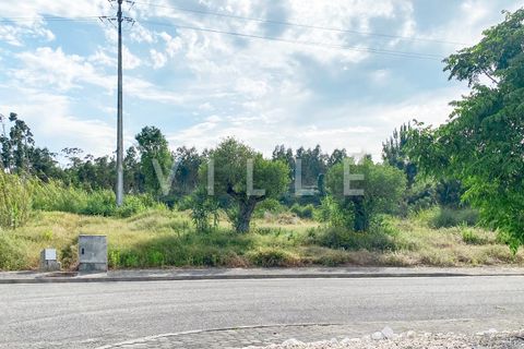 Helårsgrund i Aveiro, Aveiro, Aveiro - € 55.000 | Ref: AV1350 - foto 8