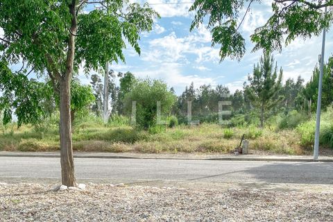 Helårsgrund i Aveiro, Aveiro, Aveiro - € 55.000 | Ref: AV1350 - foto 12