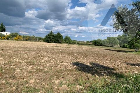 Helårsgrund i Castelo Branco, Castelo Branco, Castelo Branco - € 24.000 | Ref: LRD001 - foto 3