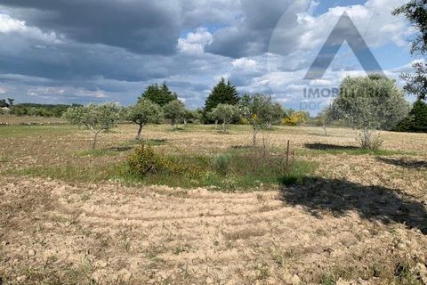 Helårsgrund i Castelo Branco, Castelo Branco, Castelo Branco - € 24.000 | Ref: LRD001 - foto 4