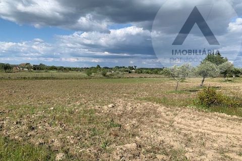 Helårsgrund i Castelo Branco, Castelo Branco, Castelo Branco - € 24.000 | Ref: LRD001 - foto 5
