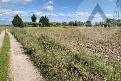 Helårsgrund i Castelo Branco, Castelo Branco, Castelo Branco - € 24.000 | Ref: LRD001 - foto 9