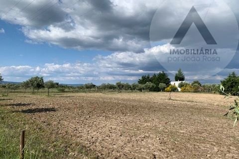 Helårsgrund i Castelo Branco, Castelo Branco, Castelo Branco - € 24.000 | Ref: LRD001 - foto 13