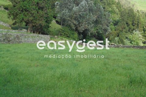 Helårsgrund i Terra Cha, Terceira, Terra Cha - € 60.000 | Ref: AZ83334MS - foto 1