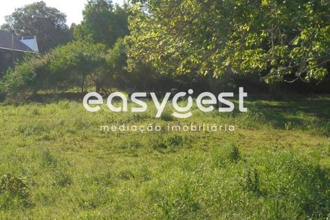 Helårsgrund i Terra Cha, Terceira, Terra Cha - € 60.000 | Ref: AZ83334MS - foto 4