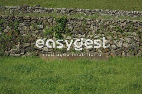 Helårsgrund i Terra Cha, Terceira, Terra Cha - € 60.000 | Ref: AZ83334MS - foto 10