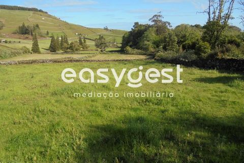 Helårsgrund i Terra Cha, Terceira, Terra Cha - € 60.000 | Ref: AZ83334MS - foto 13