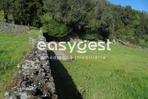 Helårsgrund i Terra Cha, Terceira, Terra Cha - € 60.000 | Ref: AZ83334MS - foto 14