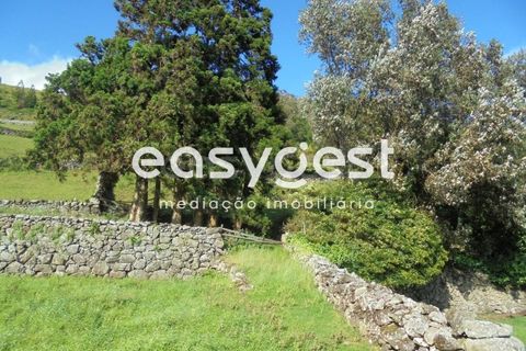 Helårsgrund i Terra Cha, Terceira, Terra Cha - € 60.000 | Ref: AZ83334MS - foto 15